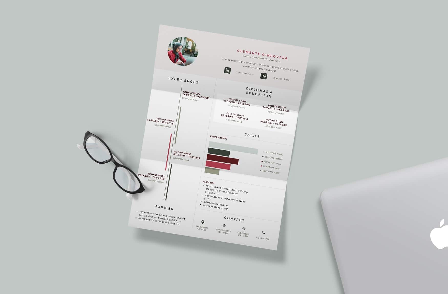 Free Canva Professional Resume Template