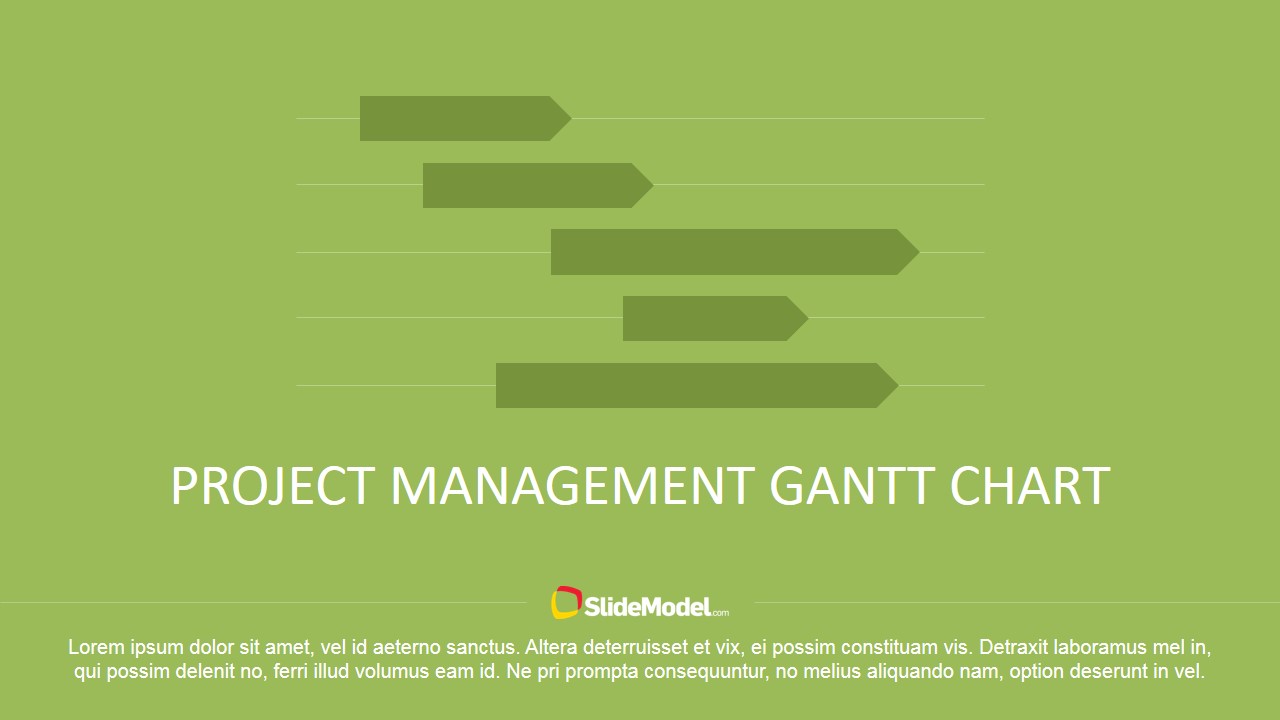 Project management Gantt chart 