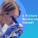 Free Animated Science Fair Projects Templates
