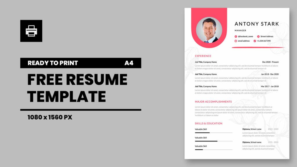 A4 Resume CV PPT