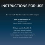 A detailed instructions of use