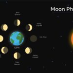 Una imagen que muestra las diferentes fases de la luna
