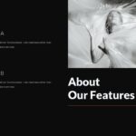 Our visionary features page