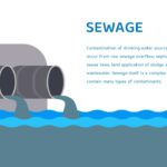 Sewage waste