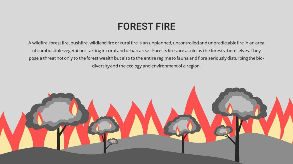 forest fire cause of air pollution