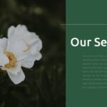 natural style our service template