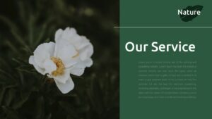 natural style our service template