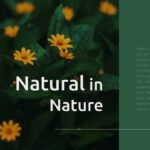 professional powerpoint nature background