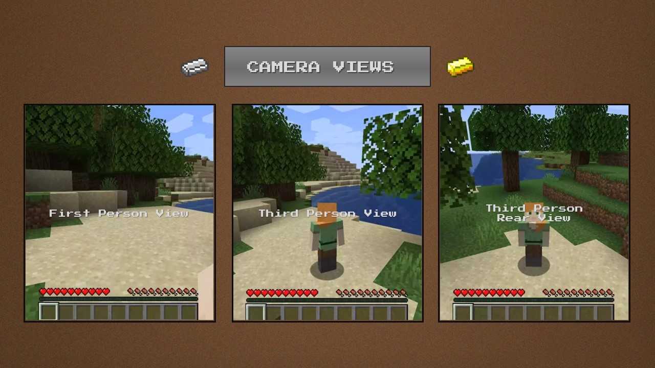 Minecraft game camera view