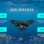 Avatar style service page