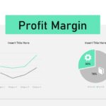 profit margin template