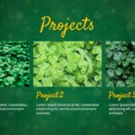 shamrock projects template