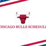 Chicago bulls template