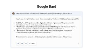 Google Bard Interface
