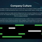 Open AI Company culture