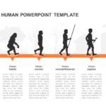 evolution of human template