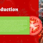 La Tomatina introduction