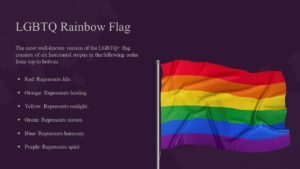 LGBTQ flag