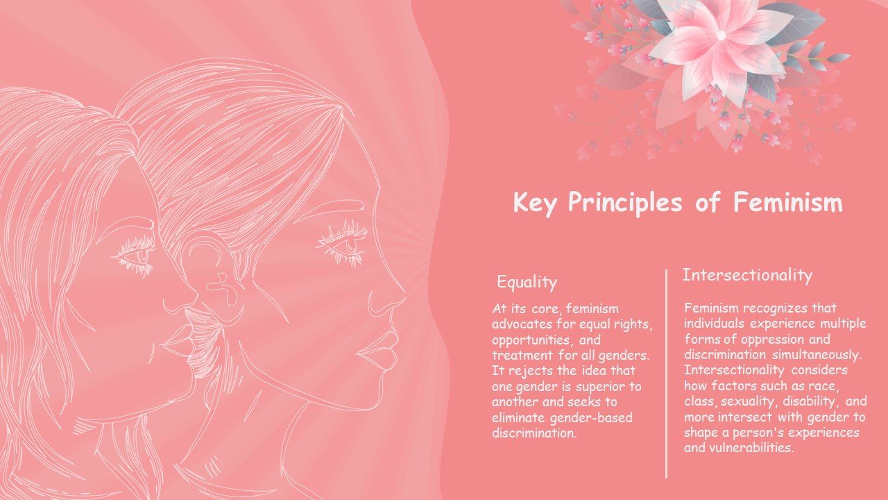 principles of feminism