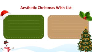 aesthetic christmas wish list