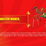 Master Mantil