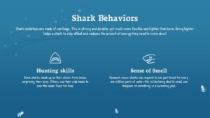 Shark Behaviour