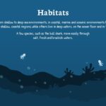 Shark Habitats