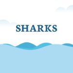 shark template