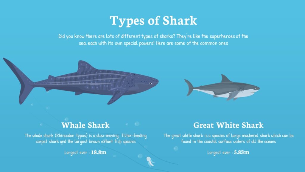 Free Animated Shark Google Slides and PowerPoint Template