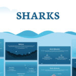 Sharks presentation template