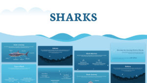 Sharks presentation template