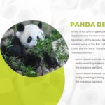 Panda Diplomacy