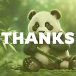 Panda Thanks Slides
