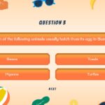 Summer themed Family Feud Game template