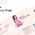 effective pregnancy stage template