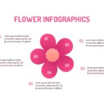 Flower Infographics