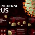 Avian Influenza virus template