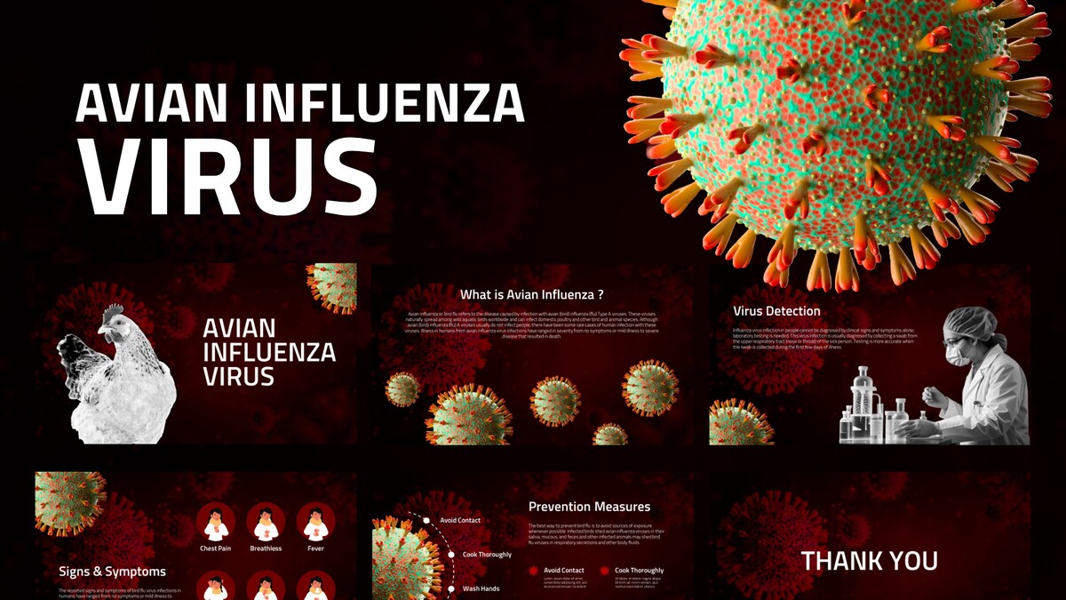 Plantilla del virus de la influenza aviar