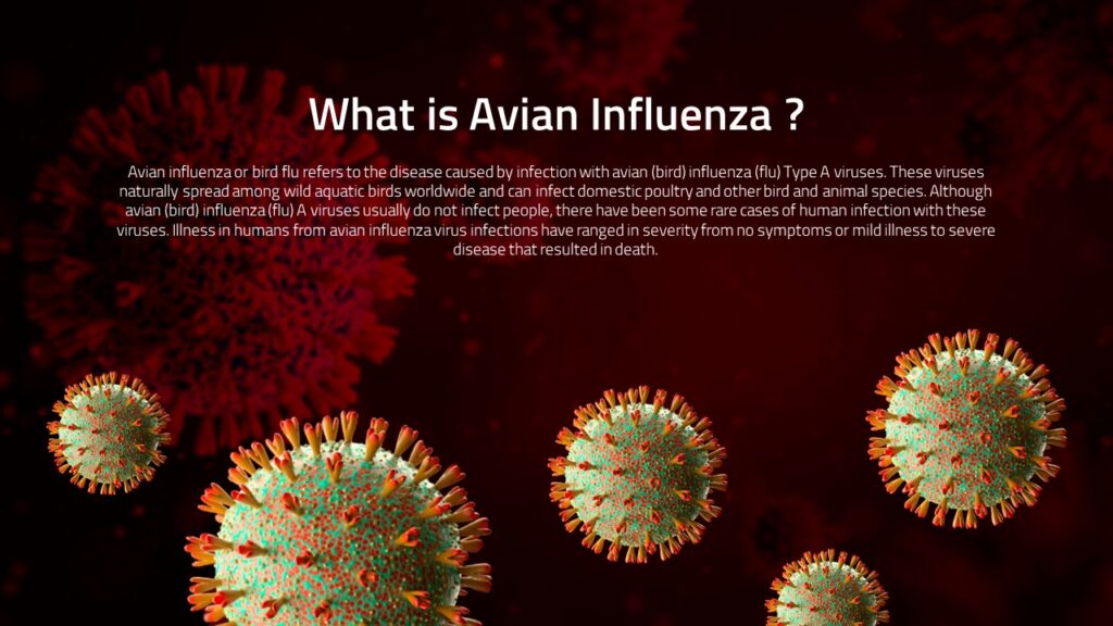 Flu Powerpoint Background Avian Influenza Flu Template | Free PowerPoint & Google Slides