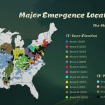 Cicada emergence map