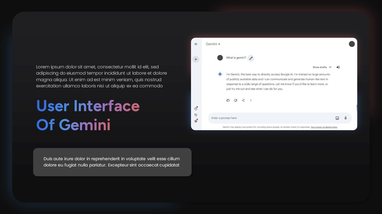 Google Gemini Interface
