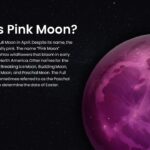 what is pink moon