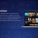 About Disney+ Hotstar