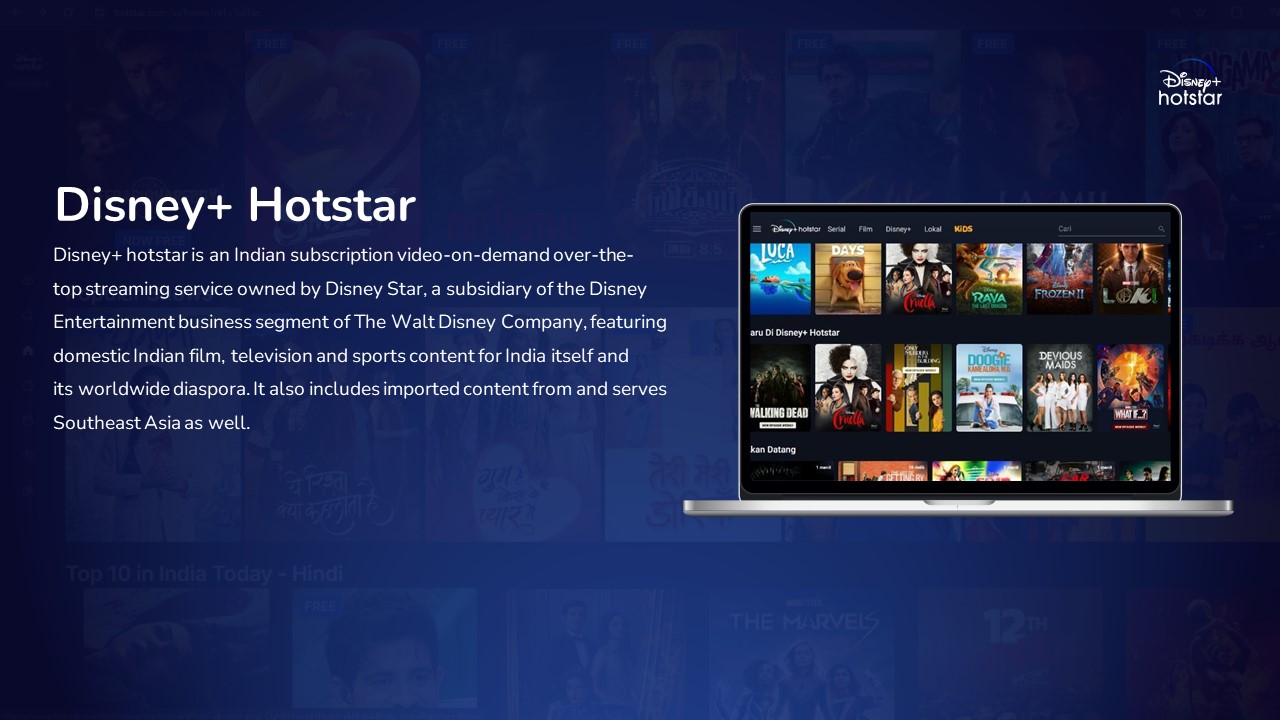 About Disney+ Hotstar