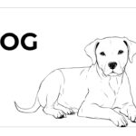 adorable dog coloring pages