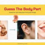 Body Part Quiz Template