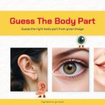 Body Part Quiz Template