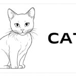 Cat Coloring Pages