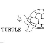 cute sea turtle coloring pages