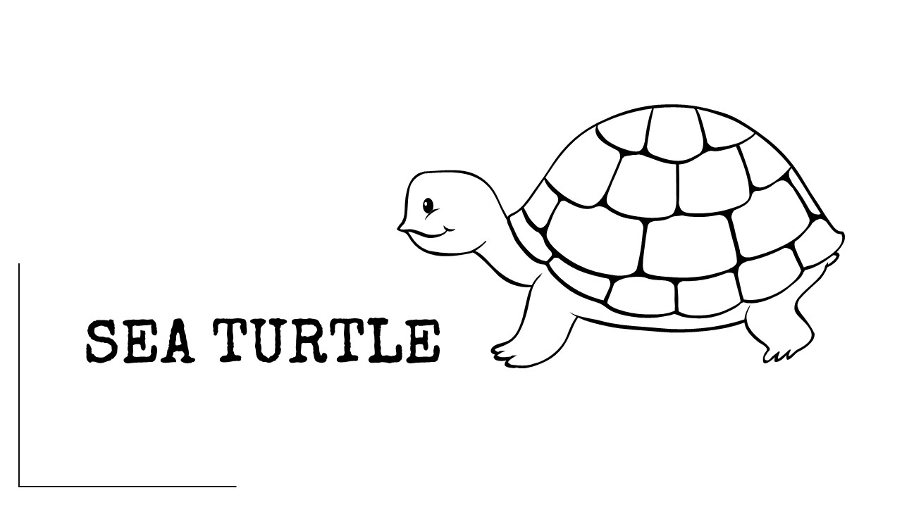 cute sea turtle coloring pages